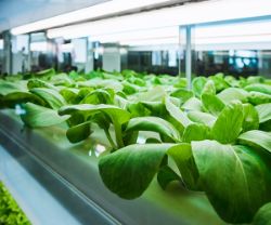 hortsl14-min-(1).jpg hortsl14-min-(1).jpg